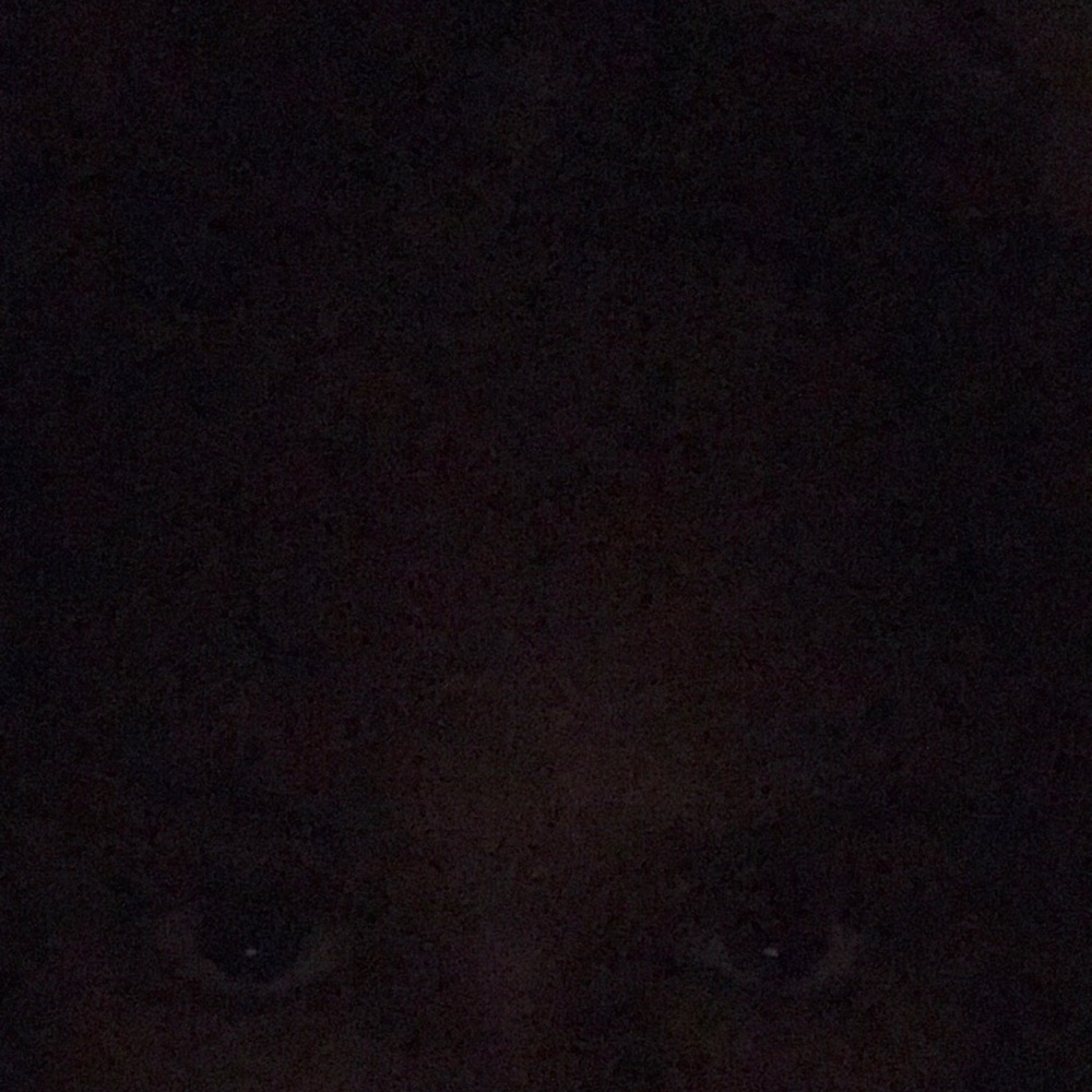 Meet your Posher, Cynthia